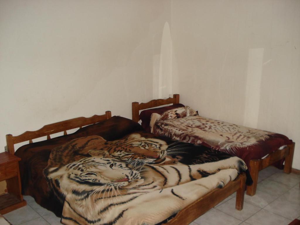 Hotel Danaly Salto Ruang foto